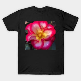 Red and Yellow Rose T-Shirt